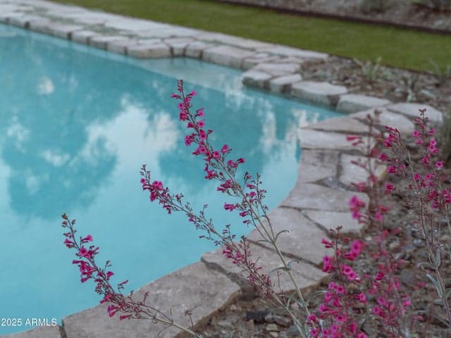 Property photo 41