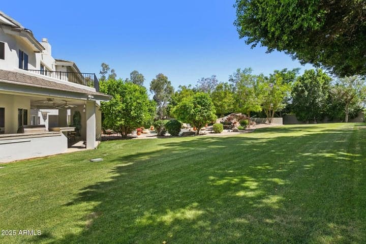 abundant grassy play area