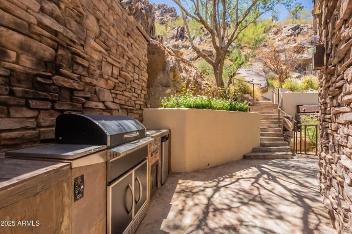 Traeger pellet grill, Coyote burners just outside the kitchen